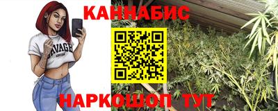 a pvp Бийск
