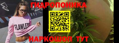 a pvp Бийск