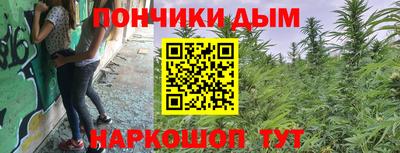 a pvp Бийск