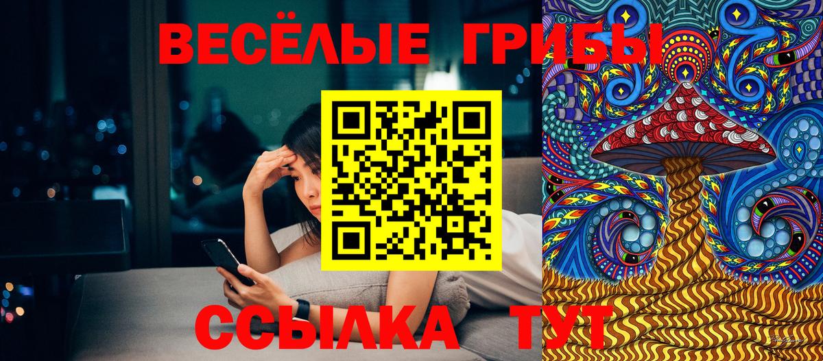 Галлюциногенные грибы прущие грибы  Вход с VPN  Ковров 